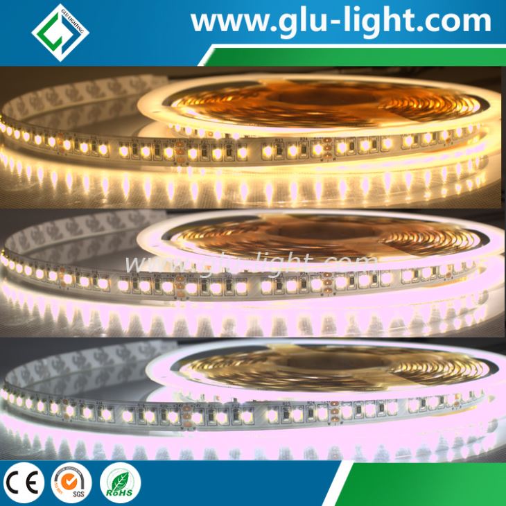 24V 120 led/m 2 colors in 1 smd 3527 led strip , W+WW CCT changeable led ribbon 