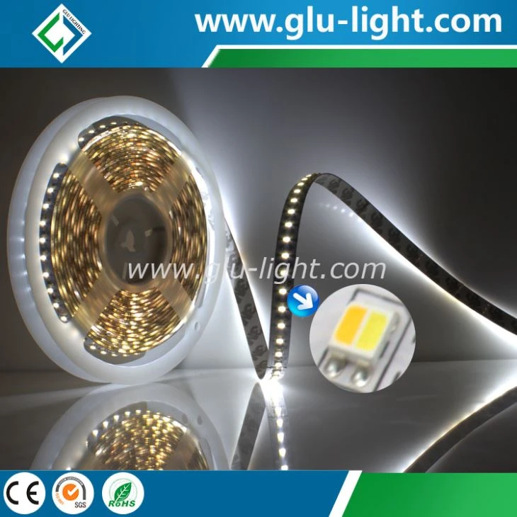 W+WW color in 1 led 3527 dual led strip 120 leds/m DC24V 3 years warranty 